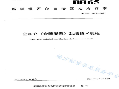 DB65/T 4419-2021金加仑（金穂醋栗）栽培技术规程