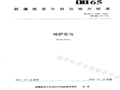 DB65/T 1325-2021哈萨克马