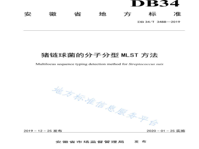 DB34/T 3488-2019猪链球菌的分子分型MLST方法