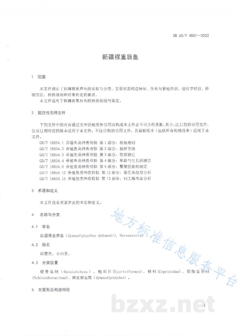 DB65/T 4501-2022新疆裸重唇鱼 DB65/T 4501-2022新疆裸重唇鱼