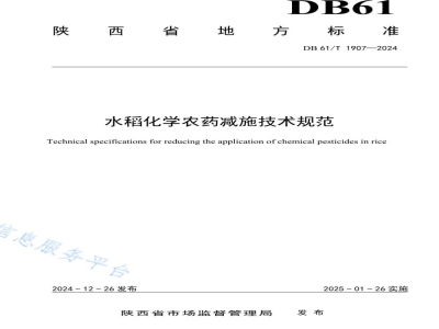 DB61/T 1907-2024水稻化学农药减施技术规范