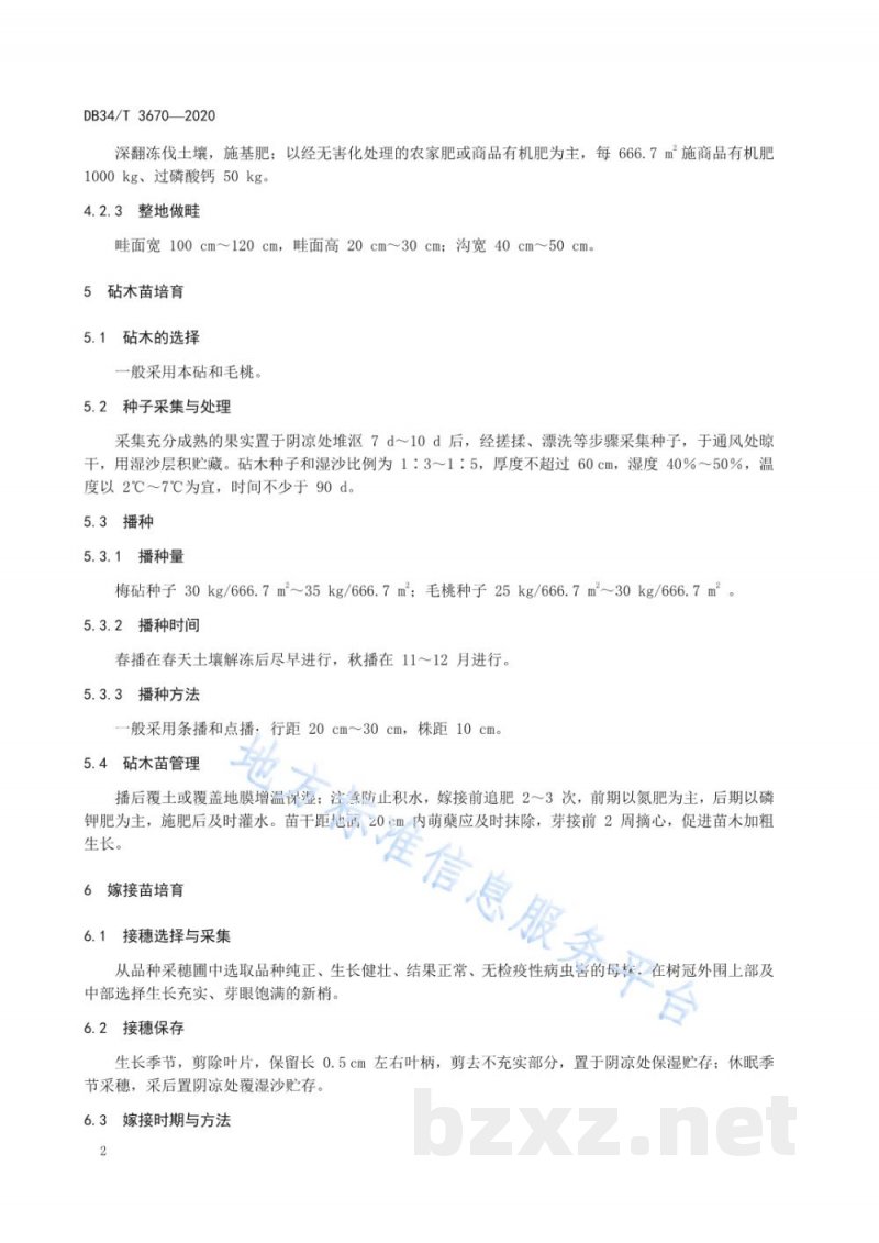 DB34/T 3670-2020青梅种苗繁育技术规程 DB34/T 3670-2020青梅种苗繁育技术规程