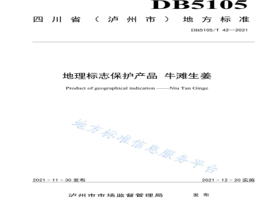 DB5105/T 42-2021地理标志产品 牛滩生姜