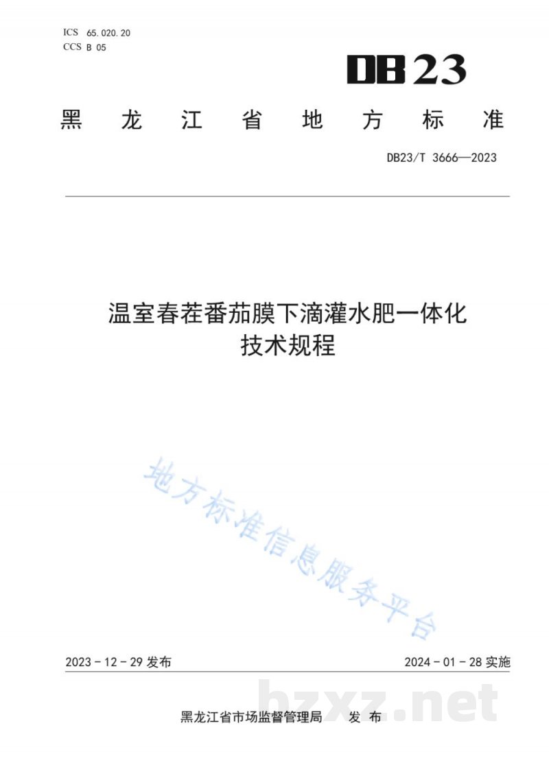 DB23/T 3666-2023温室春茬番茄膜下滴灌水肥一体化技术规程