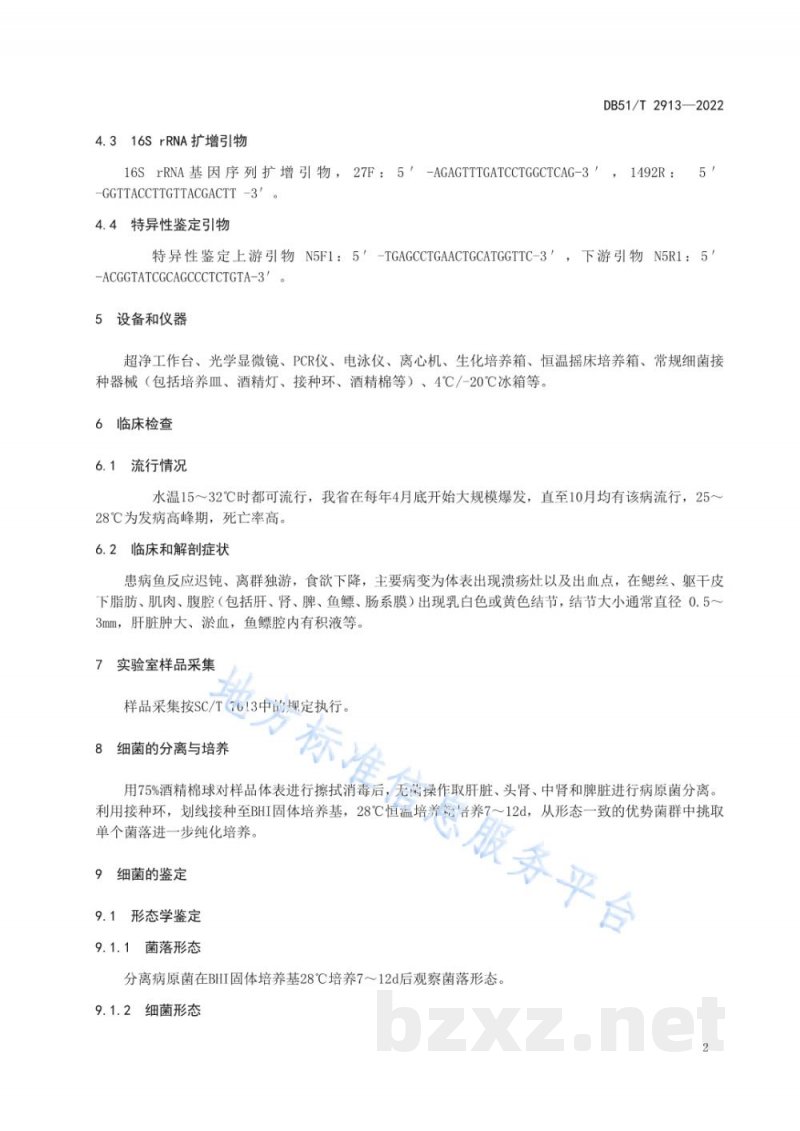 DB51/T 2913-2022大口黑鲈诺卡氏菌病诊断和防治技术规程
