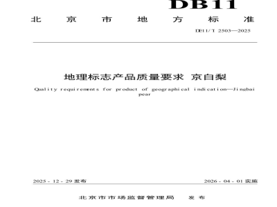 DB11/T 2503-2025地理标志产品质量要求 京白梨