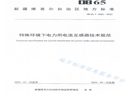 DB65/T 4665-2023特殊环境下电力用电流互感器技术规范