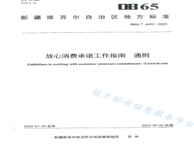 DB65/T 4693-2023放心消费承诺工作指南 通则