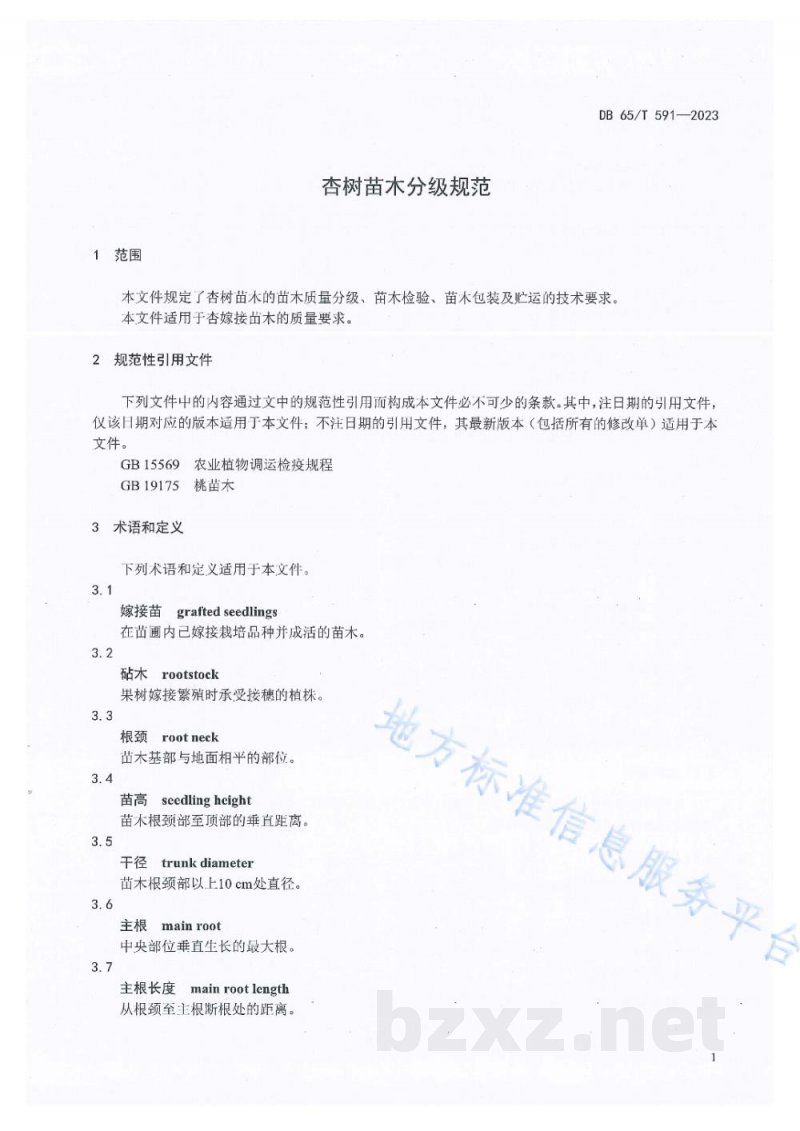 DB65/T 591-2023杏树苗木分级规范 DB65/T 591-2023杏树苗木分级规范