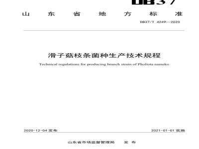 DB37/T 4249-2020滑子菇枝条菌种生产技术规程
