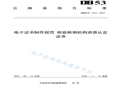 DB53/T 1315-2024电子证书制作规范 检验检测机构资质认定证书