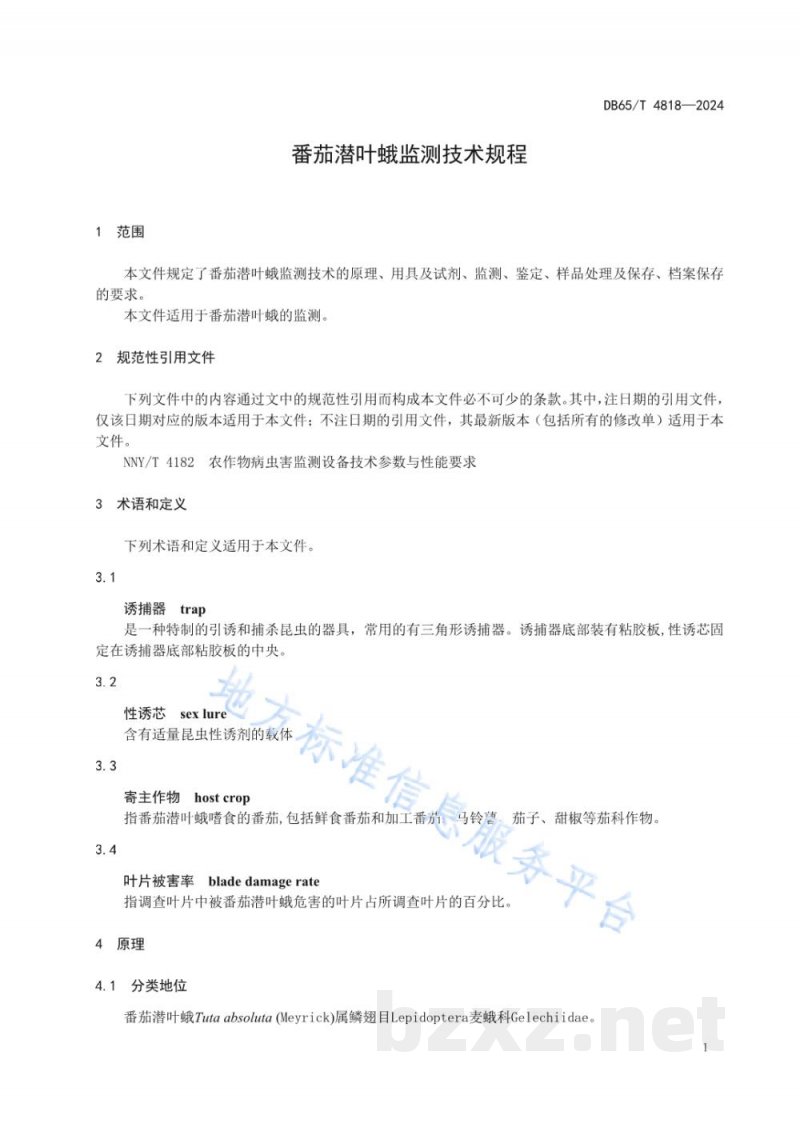 DB65/T 4818-2024番茄潜叶蛾监测技术规程 DB65/T 4818-2024番茄潜叶蛾监测技术规程