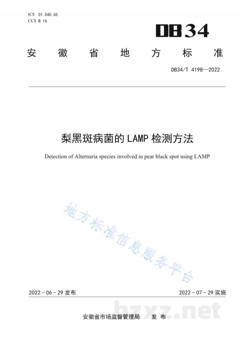 DB34/T 4198-2022梨黑斑病菌的LAMP检测方法 DB34/T 4198-2022梨黑斑病菌的LAMP检测方法