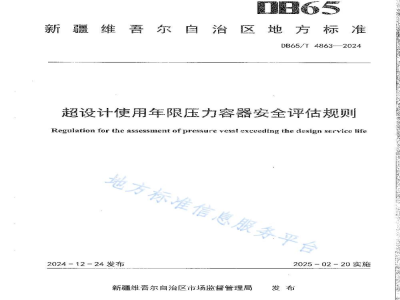 DB65/T 4863-2024超设计使用年限压力容器安全评估规则