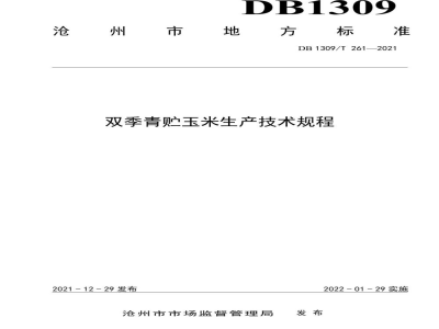 DB1309/T 261-2021双季青贮玉米生产技术规程