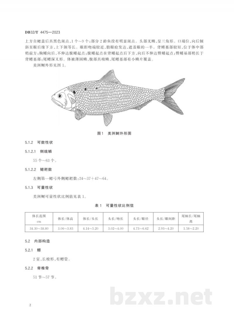 DB32/T 4475-2023美洲鲥种质检测与鉴定方法 DB32/T 4475-2023美洲鲥种质检测与鉴定方法