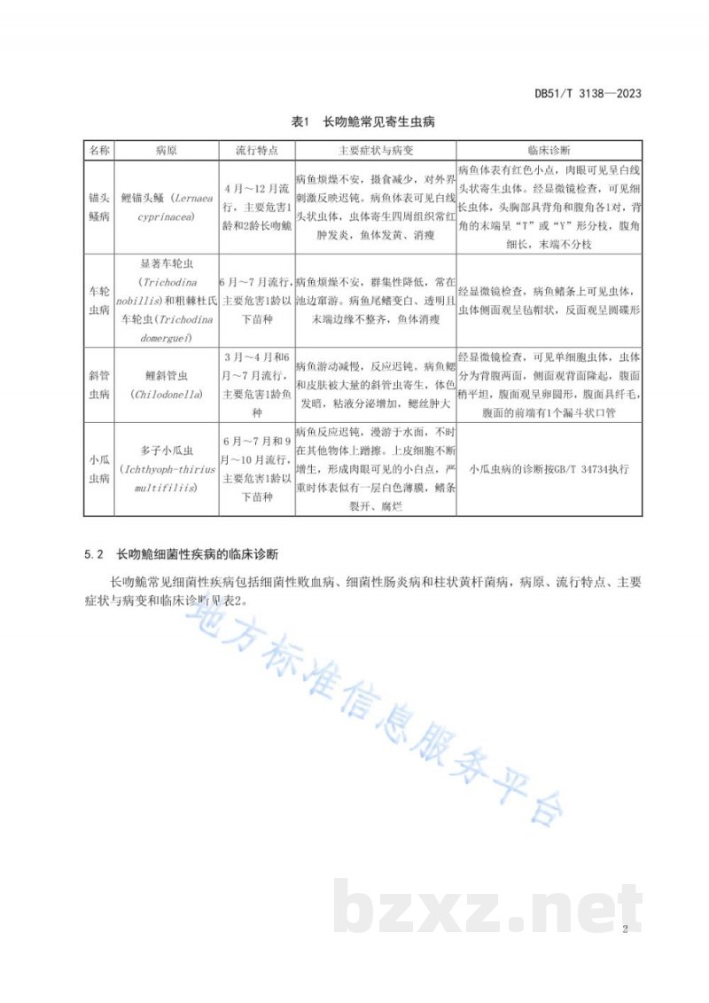 DB51/T 3138-2023长吻鮠 常见疾病诊断与防控技术规程 DB51/T 3138-2023长吻鮠 常见疾病诊断与防控技术规程