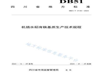 DB51/T 3135-2023机插水稻育秧基质生产技术规程