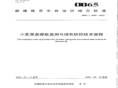 DB65/T 4940-2025小麦黑森瘿蚊监测与绿色防控技术规程