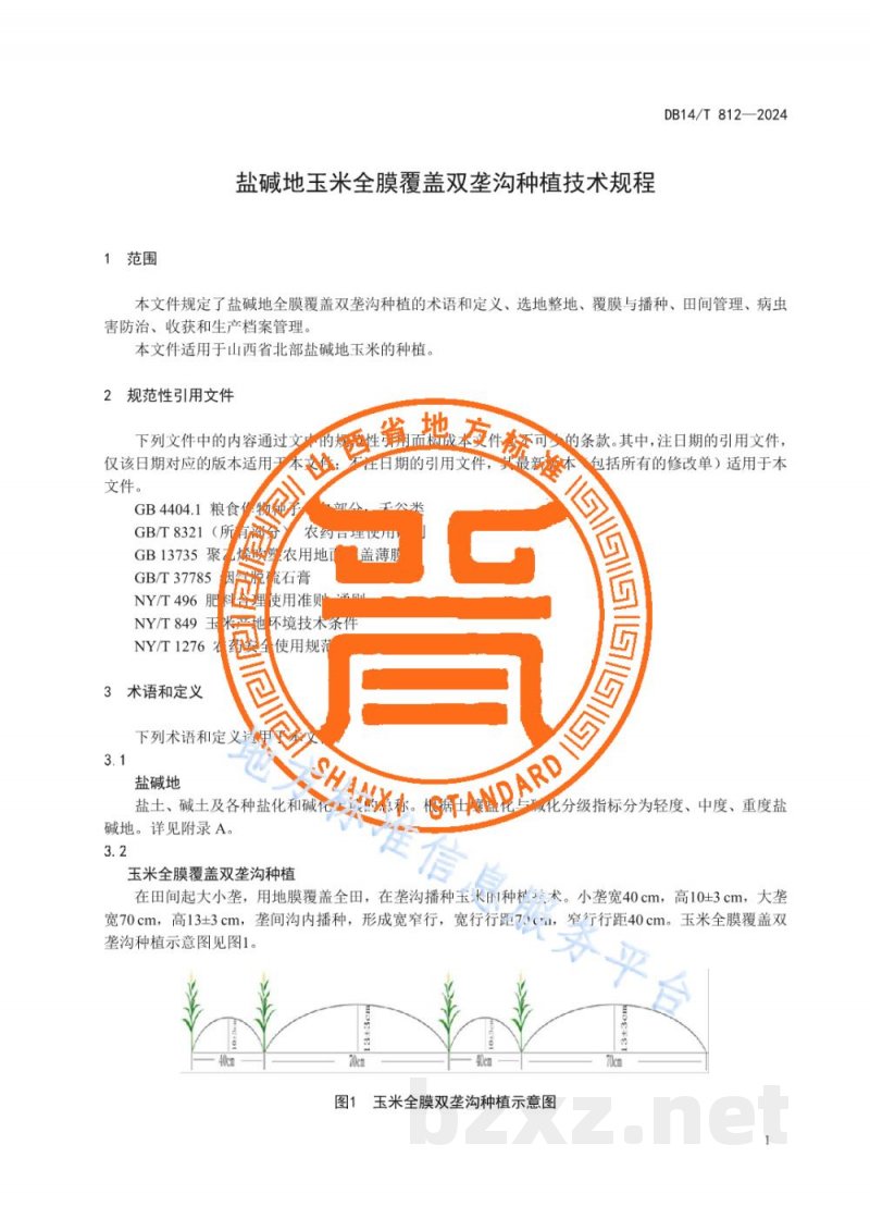 DB14/T 812-2024盐碱地玉米全膜覆盖双垄沟种植技术规程