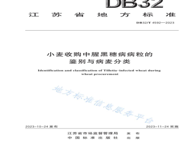 DB32/T 4592-2023小麦收购中腥黑穗病病粒的鉴别与病麦分类