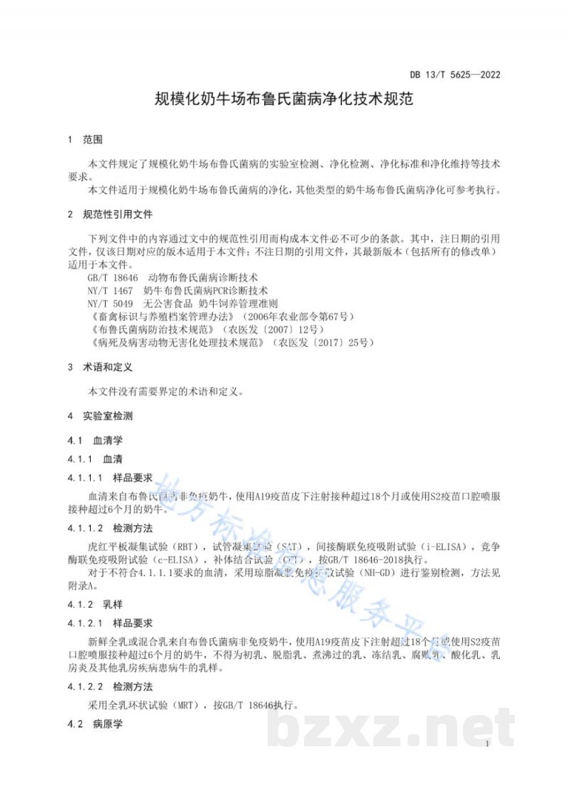 DB13/T 5625-2022规模化奶牛场布鲁氏菌病净化技术规范 DB13/T 5625-2022规模化奶牛场布鲁氏菌病净化技术规范