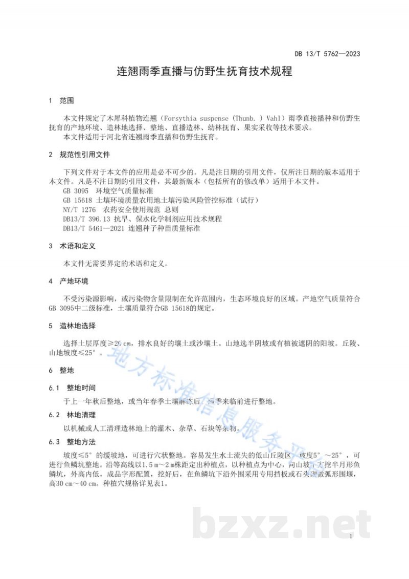 DB13/T 5762-2023连翘雨季直播与仿野生抚育技术规程