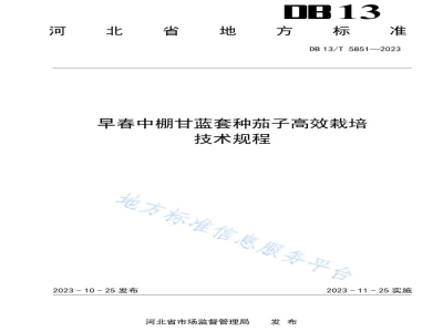 DB13/T 5851-2023早春中棚甘蓝套种茄子高效栽培技术规程