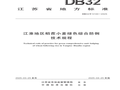 DB32/T 5100-2025江淮地区稻茬小麦绿色综合防倒技术规程