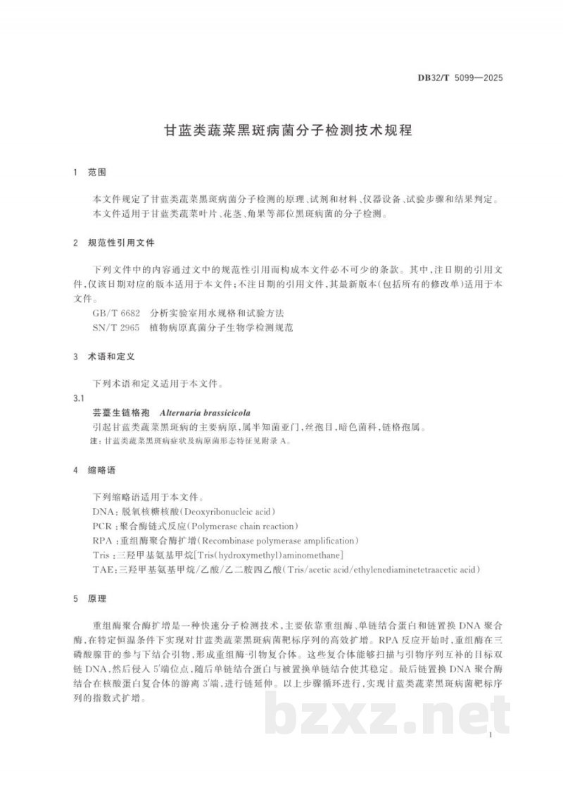 DB32/T 5099-2025甘蓝类蔬菜黑斑病菌分子检测技术规程