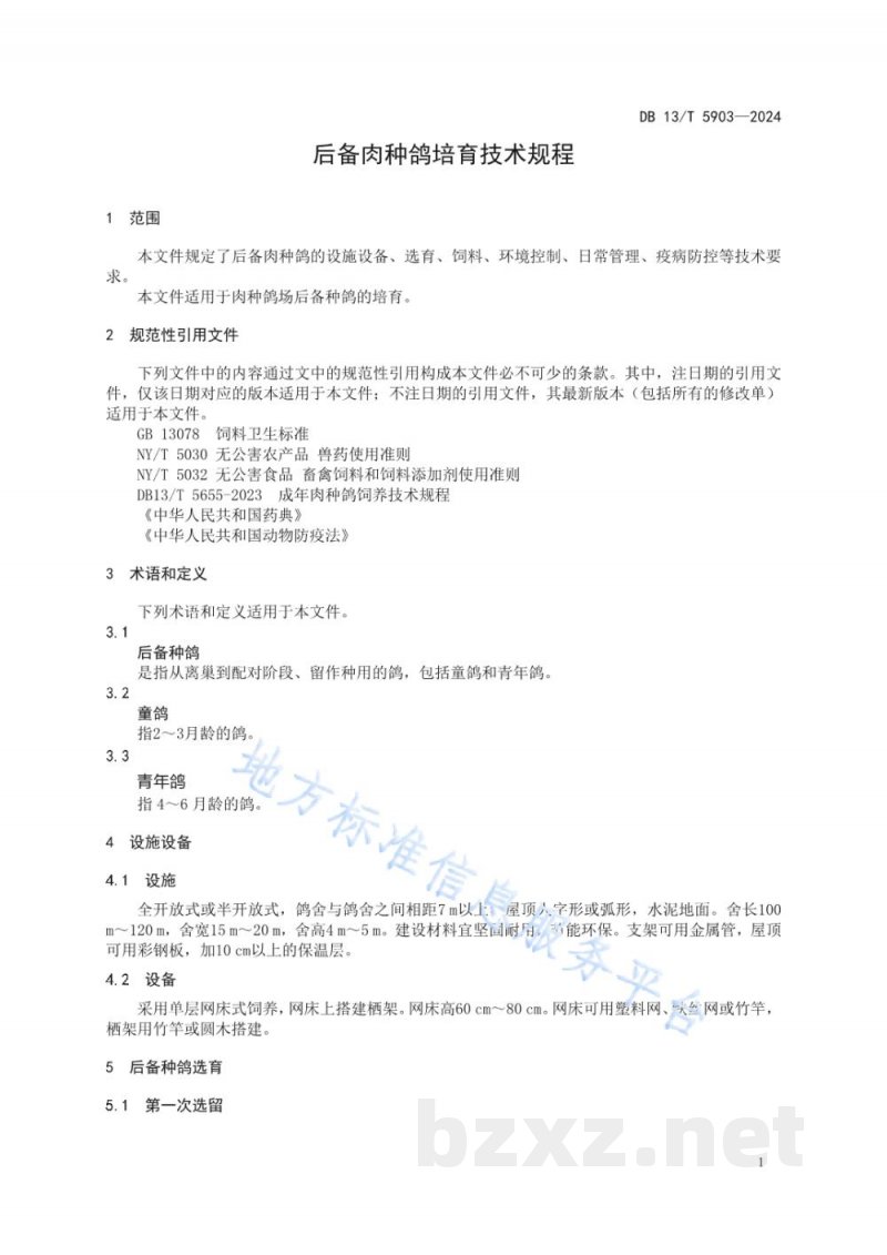DB13/T 5903-2024后备肉种鸽培育技术规程 DB13/T 5903-2024后备肉种鸽培育技术规程