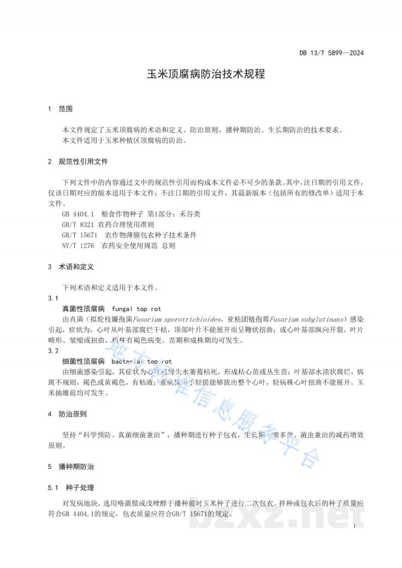 DB13/T 5899-2024玉米顶腐病防治技术规程 DB13/T 5899-2024玉米顶腐病防治技术规程