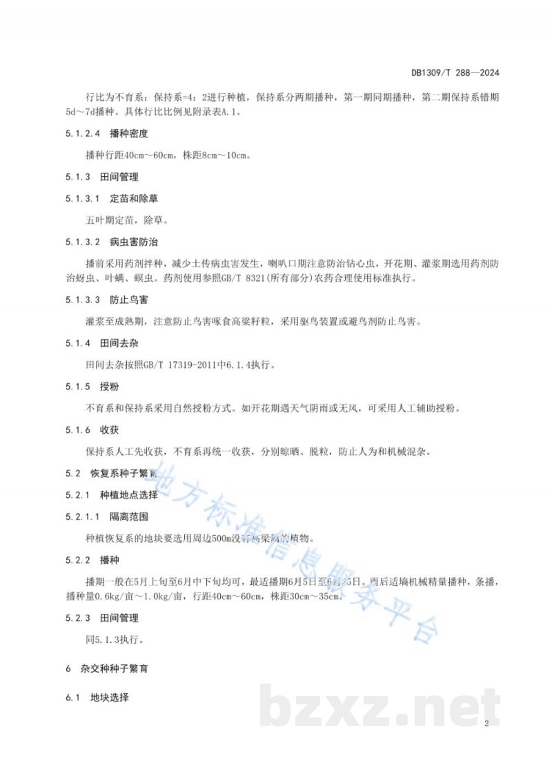 DB1309/T 288-2024高粱旱碱地杂交制种技术规程 DB1309/T 288-2024高粱旱碱地杂交制种技术规程