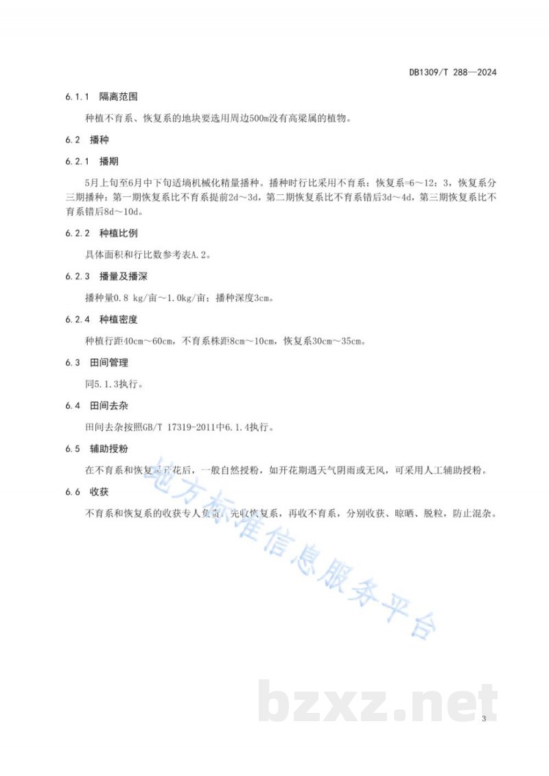 DB1309/T 288-2024高粱旱碱地杂交制种技术规程 DB1309/T 288-2024高粱旱碱地杂交制种技术规程