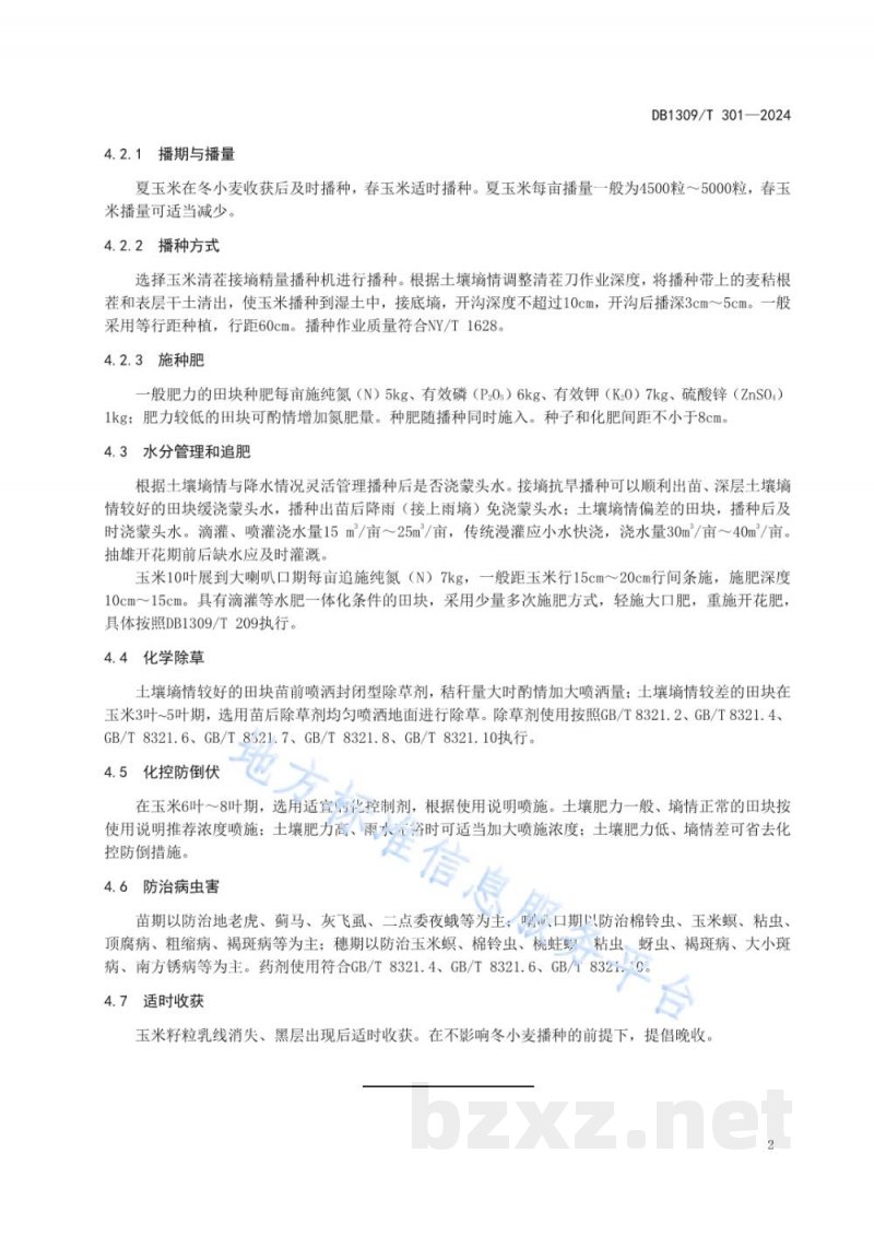DB1309/T 301-2024玉米清茬抗旱精播高产栽培技术规程 DB1309/T 301-2024玉米清茬抗旱精播高产栽培技术规程