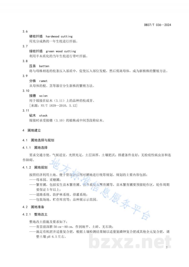 DB37/T 036-2024主要水果苗木培育技术规程 DB37/T 036-2024主要水果苗木培育技术规程