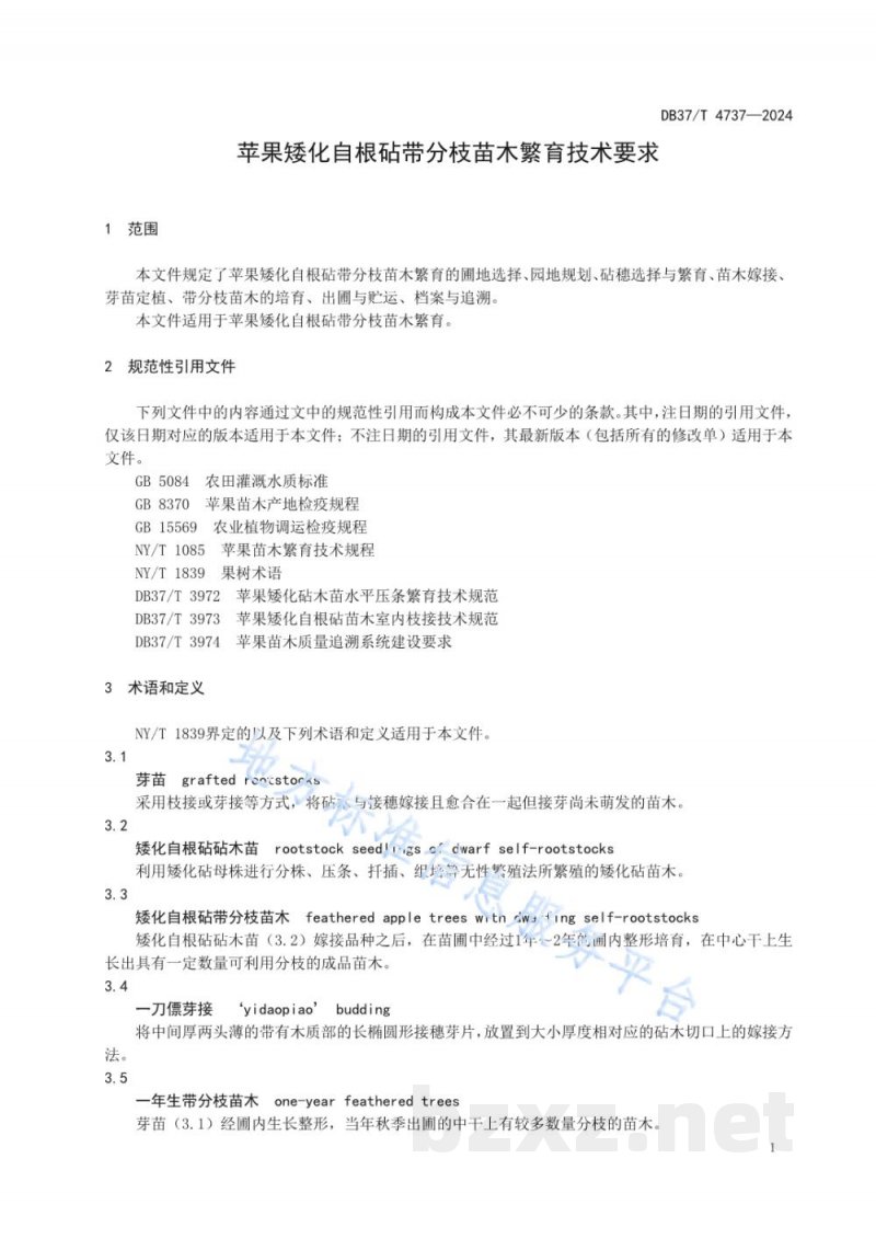 DB37/T 4737-2024苹果矮化自根砧带分枝苗木繁育技术要求 DB37/T 4737-2024苹果矮化自根砧带分枝苗木繁育技术要求