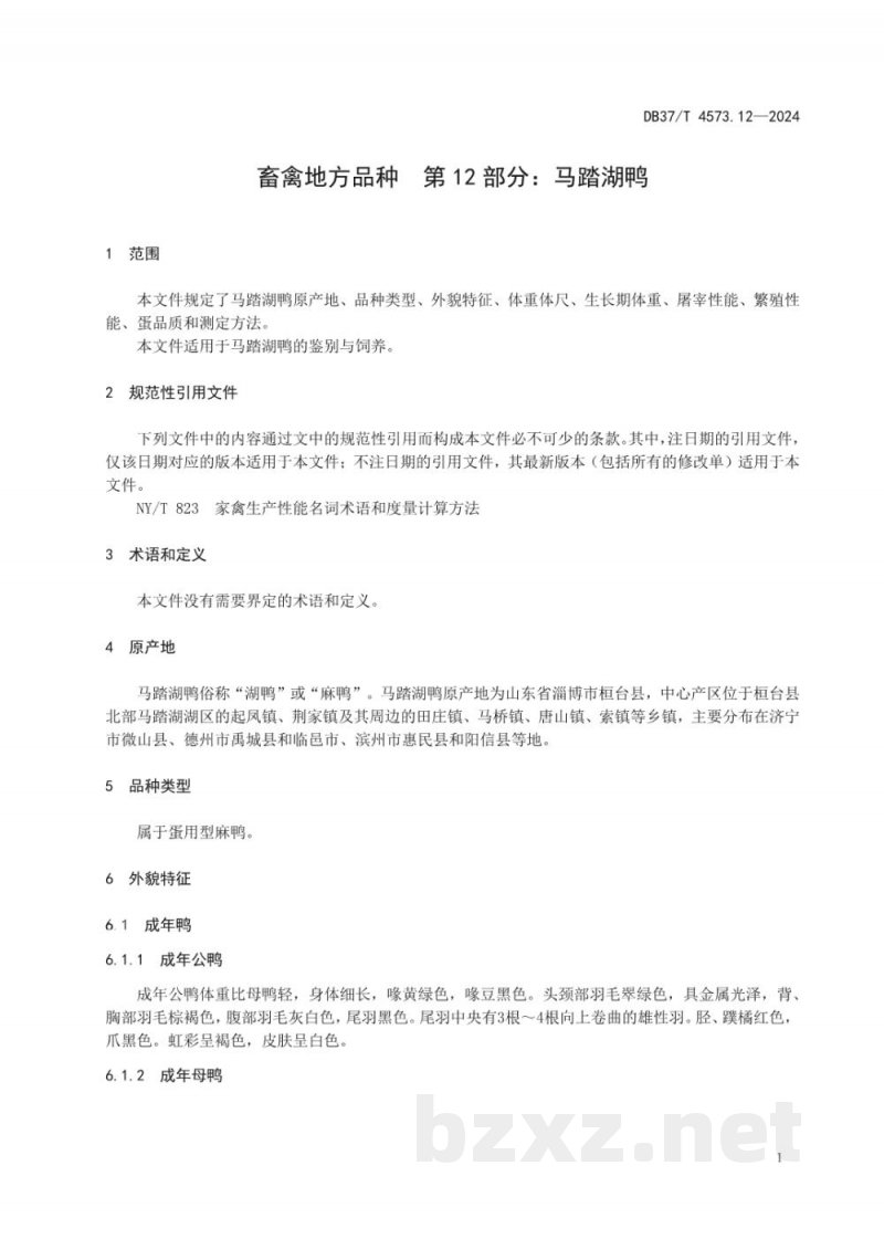 DB37/T 4573.12-2024畜禽地方品种 第12部分:马踏湖鸭 DB37/T 4573.12-2024畜禽地方品种 第12部分:马踏湖鸭