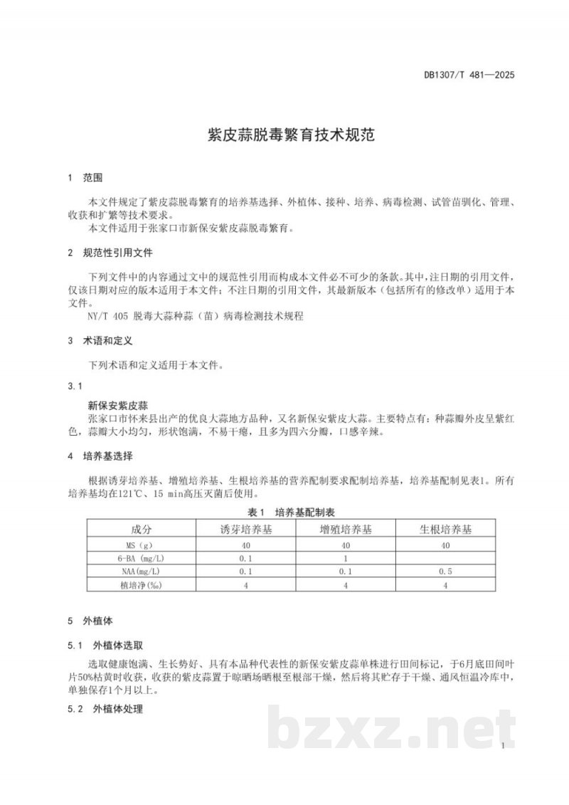 DB1307/T 481-2025紫皮蒜脱毒繁育技术规范 DB1307/T 481-2025紫皮蒜脱毒繁育技术规范