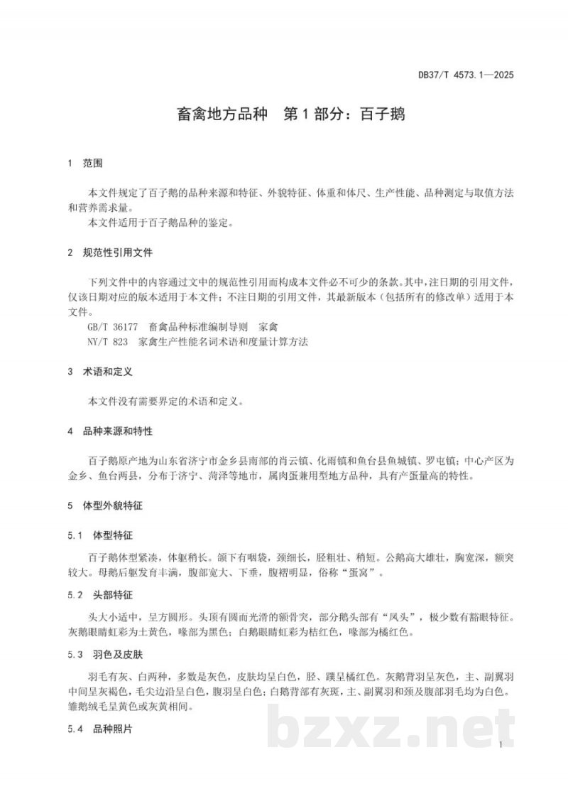 DB37/T 4573.1-2025畜禽地方品种 第1部分:百子鹅 DB37/T 4573.1-2025畜禽地方品种 第1部分:百子鹅