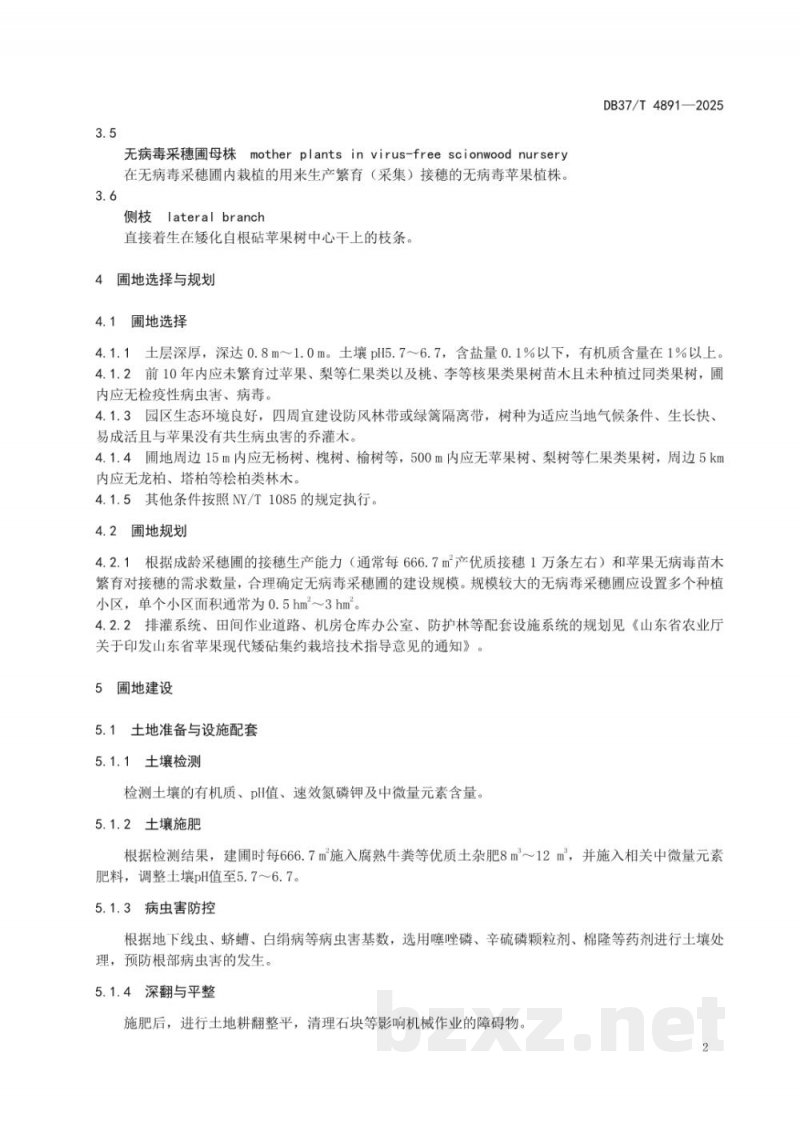 DB37/T 4891-2025苹果无病毒采穗圃建设技术要求 DB37/T 4891-2025苹果无病毒采穗圃建设技术要求
