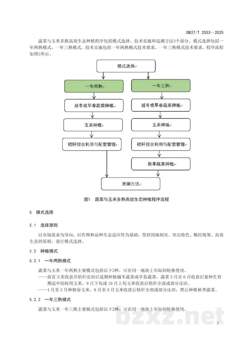 DB37/T 2553-2025蔬菜与玉米多熟种植技术规程 DB37/T 2553-2025蔬菜与玉米多熟种植技术规程
