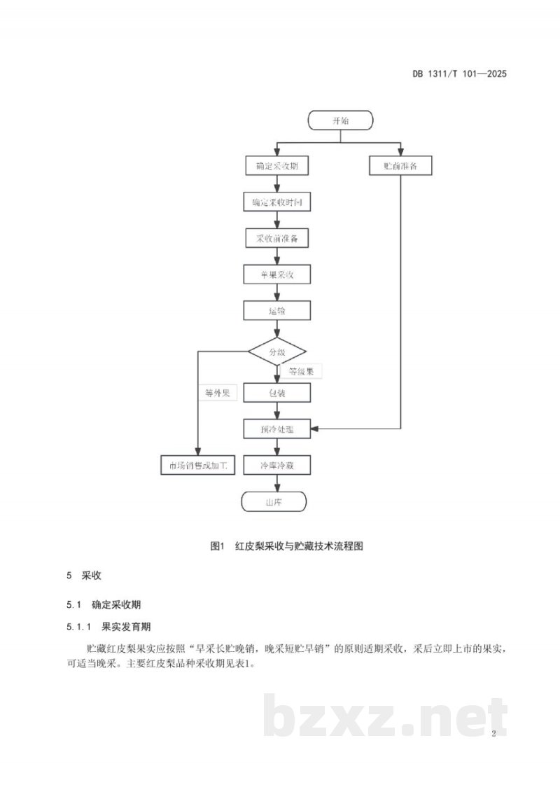 DB1311/T 101-2025红皮梨采收与贮藏技术规程