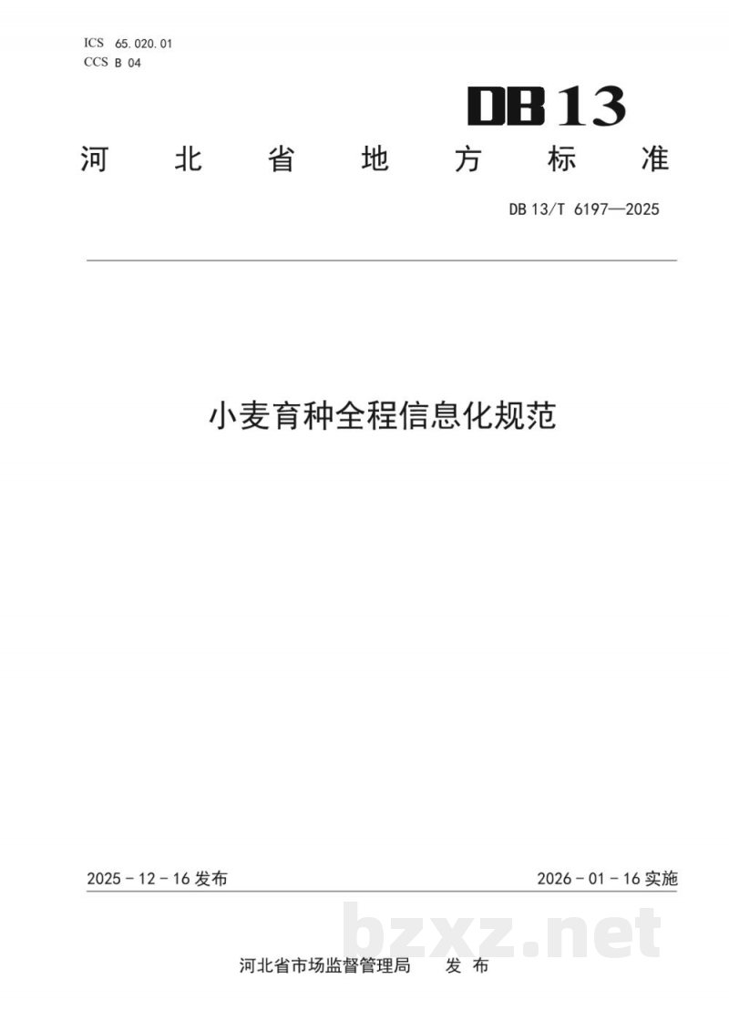 DB13/T 6197-2025小麦育种全程信息化规范 DB13/T 6197-2025小麦育种全程信息化规范