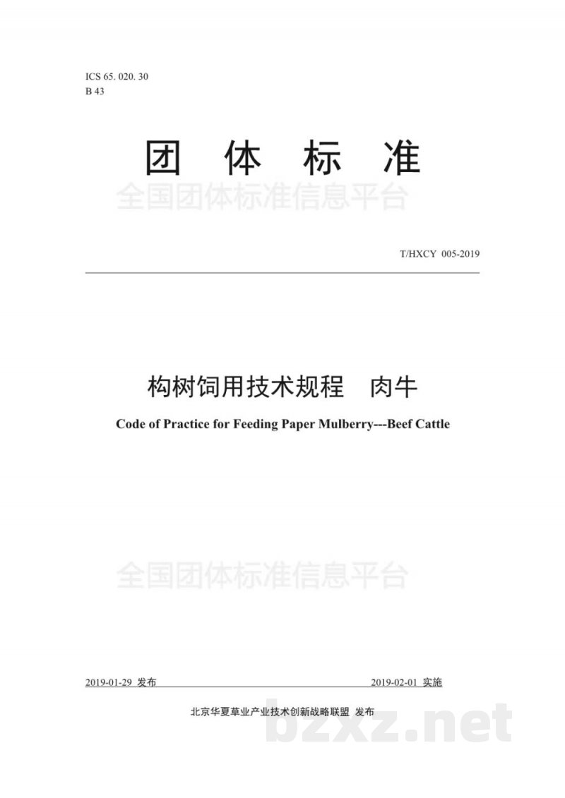 T/HXCY 005-2019构树饲用技术规程 肉牛 T/HXCY 005-2019构树饲用技术规程 肉牛
