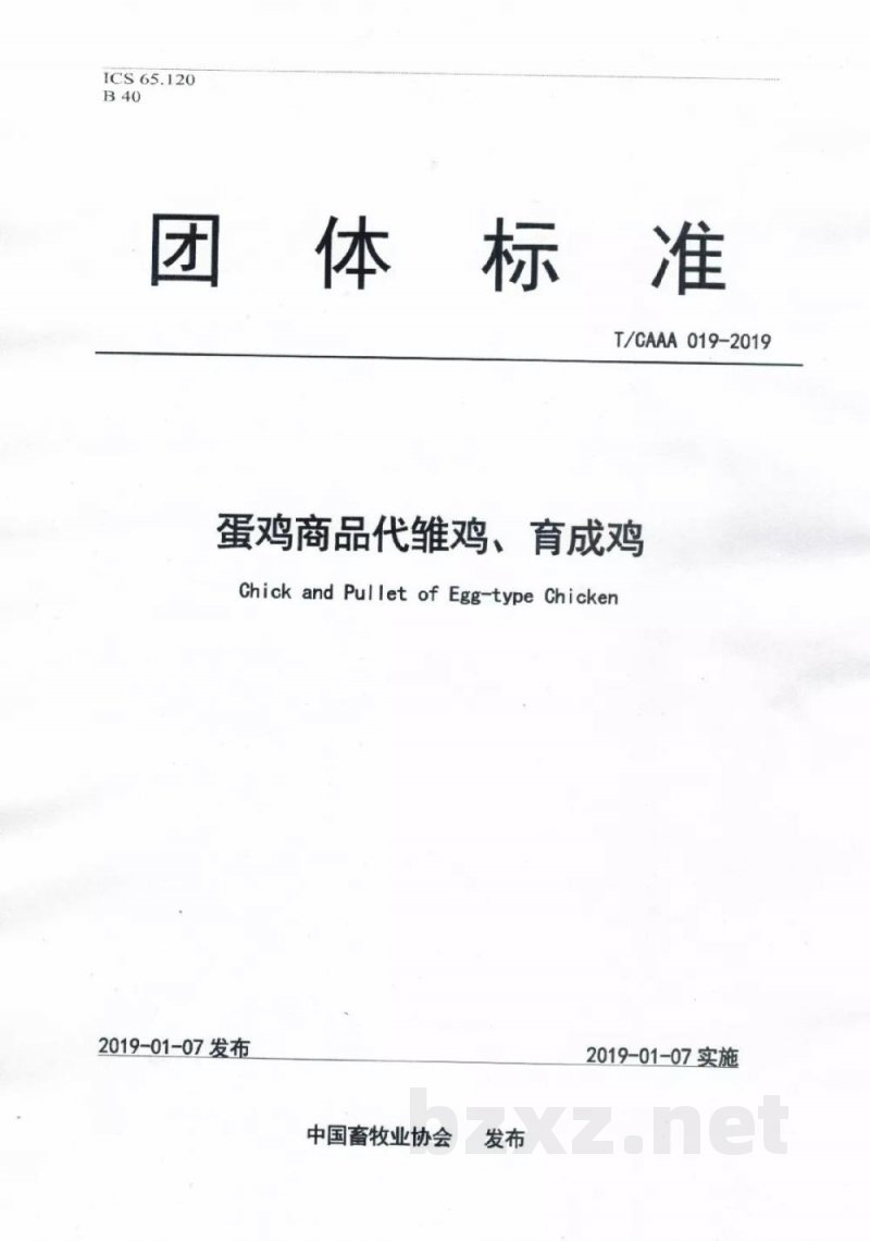 T/CAAA 019-2019蛋鸡商品代雏鸡、育成鸡 T/CAAA 019-2019蛋鸡商品代雏鸡、育成鸡
