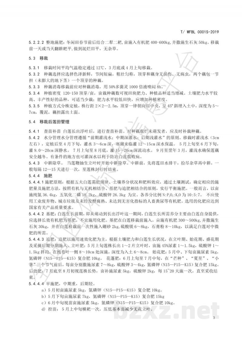 T/WFBL 0001S-2019五夫白莲 T/WFBL 0001S-2019五夫白莲