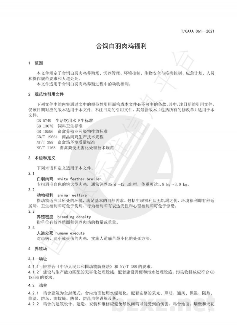 T/CAAA 061-2021舍饲白羽肉鸡福利 T/CAAA 061-2021舍饲白羽肉鸡福利