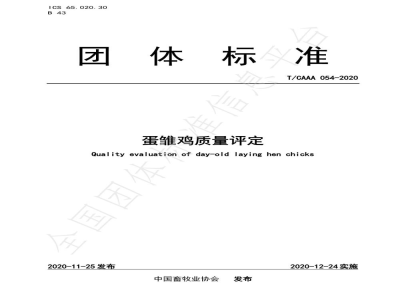T/CAAA 054-2020蛋雏鸡质量评定