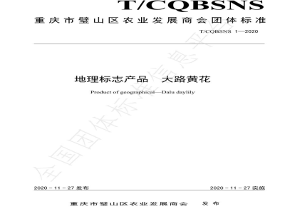 T/CQBSNS 1-2020地理标志产品 大路黄花